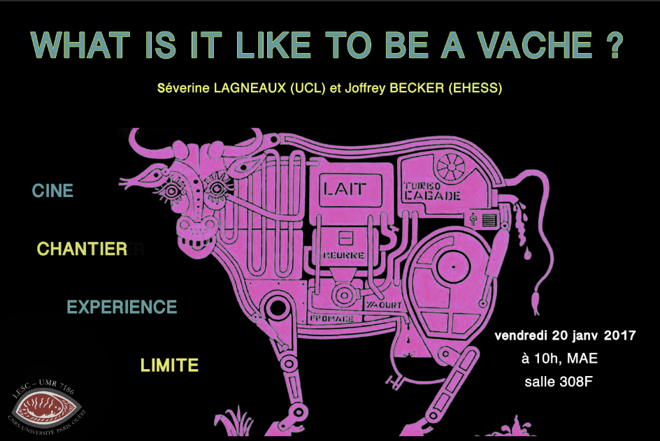 cine chantier vache