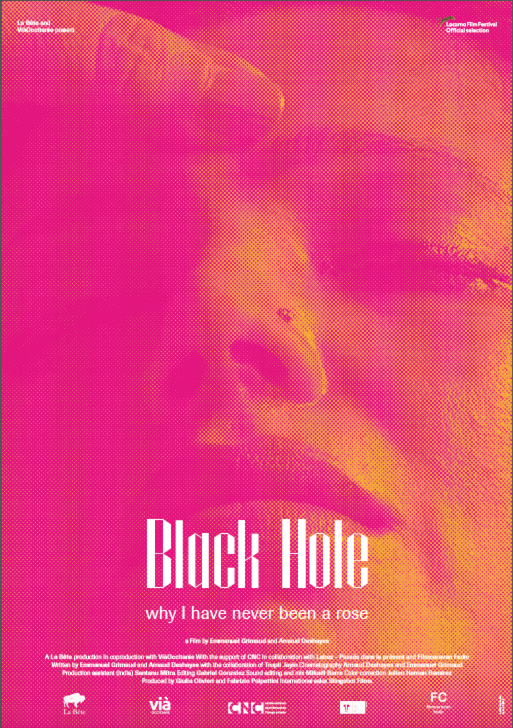 Black hole affiche