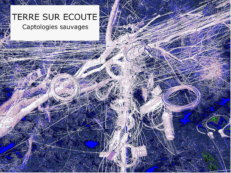 terre sur ecoute vierge 800