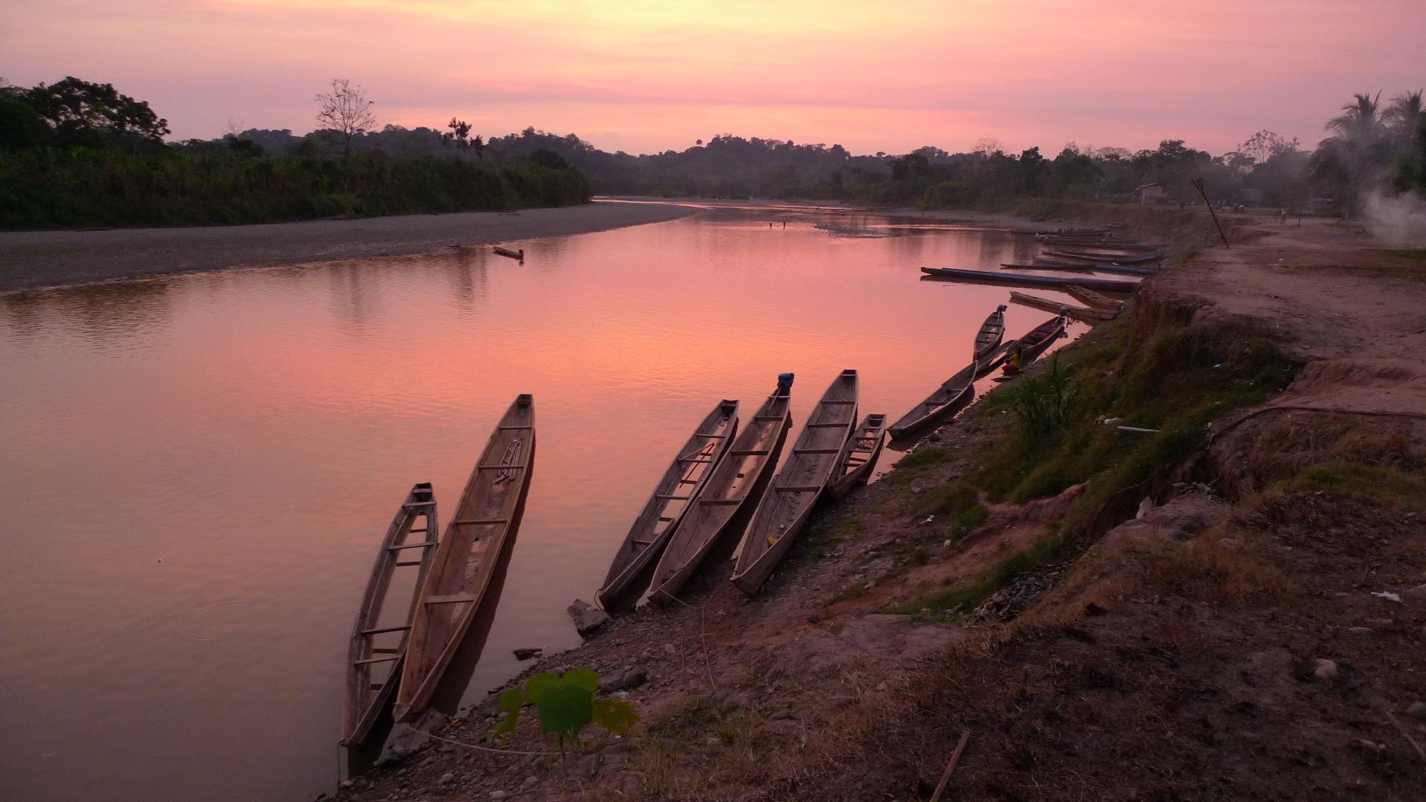 SAA 2021-01-15 Magda Dziubinska, Santa Rosa