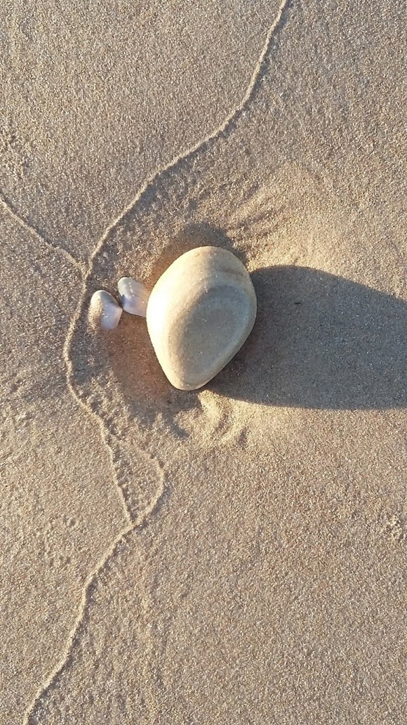 SAA 2018 05 18 Oscar Calavia 2015