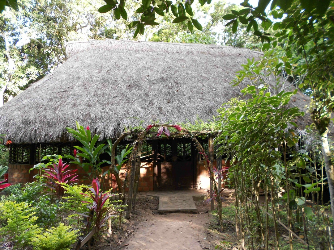 SAA 2019 01 18 daviddupuis