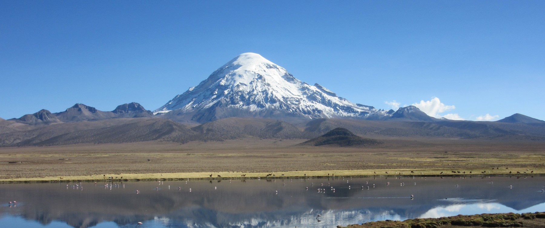 Sajama