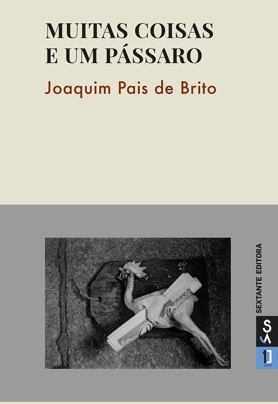 Muitas coisas e um Pássaro Image 1