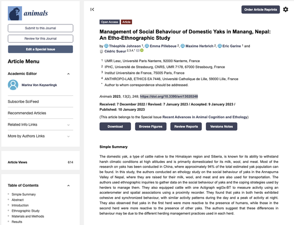Management of social behaviour of domestic yaks in Manang, ... Image 1