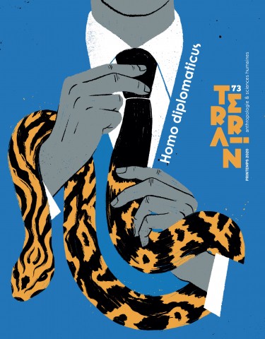 Homo diplomaticus – Terrain 73 Image 1