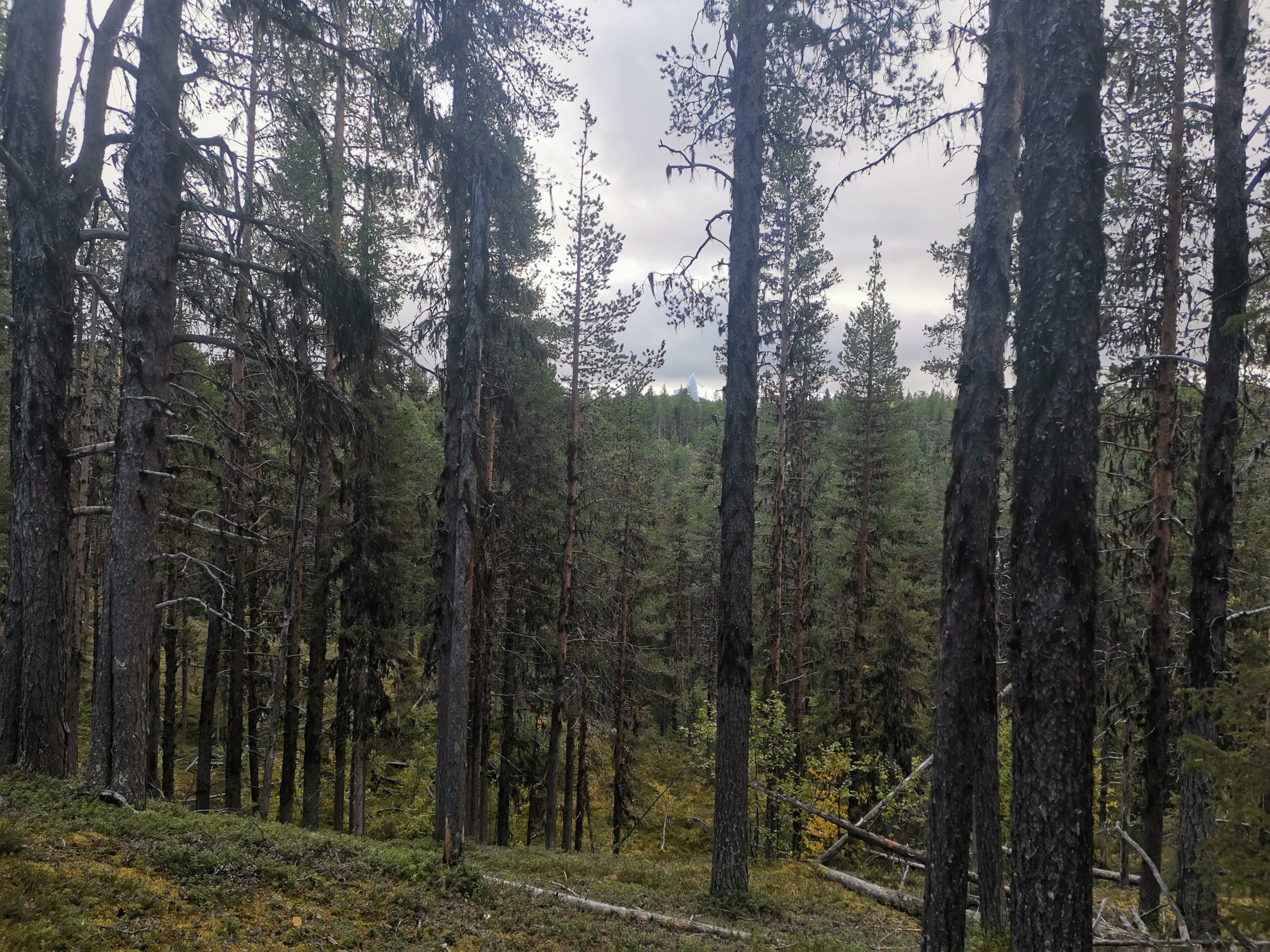 Seminaire Larcher 2025